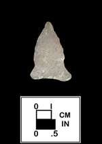 Thumbnail image of a Brewerton Eared Notched point from 18BA153-1 Evergreen Collection - click on image to see a larger view.